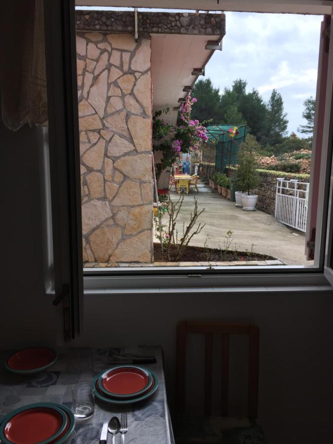 Lipovac Resort Ficus Bilice Dış mekan fotoğraf