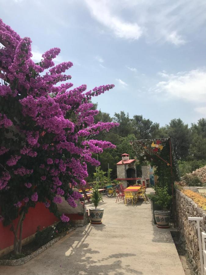 Lipovac Resort Ficus Bilice Dış mekan fotoğraf